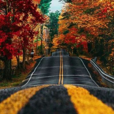 奇异果体育手机app下载